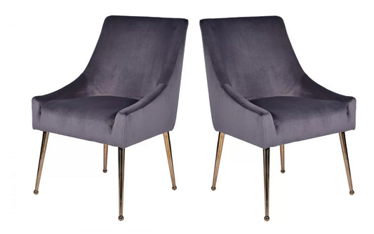 Castana Modern Gray Velvet & Gold Dining Chair (Set of 2)