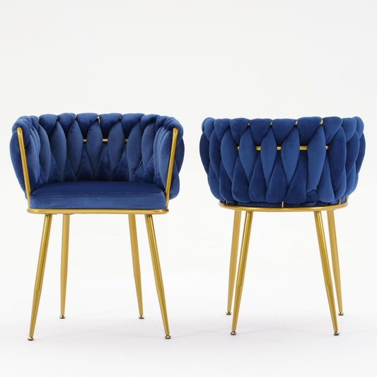 Asher Modern Velvet Side Chairs with Gold Legs (Set of 2) - Blue