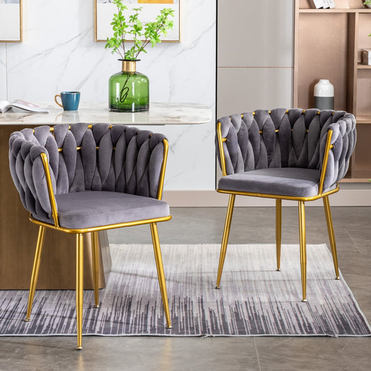 Asher Modern Velvet Side Chairs with Gold Legs (Set of 2) - Gray